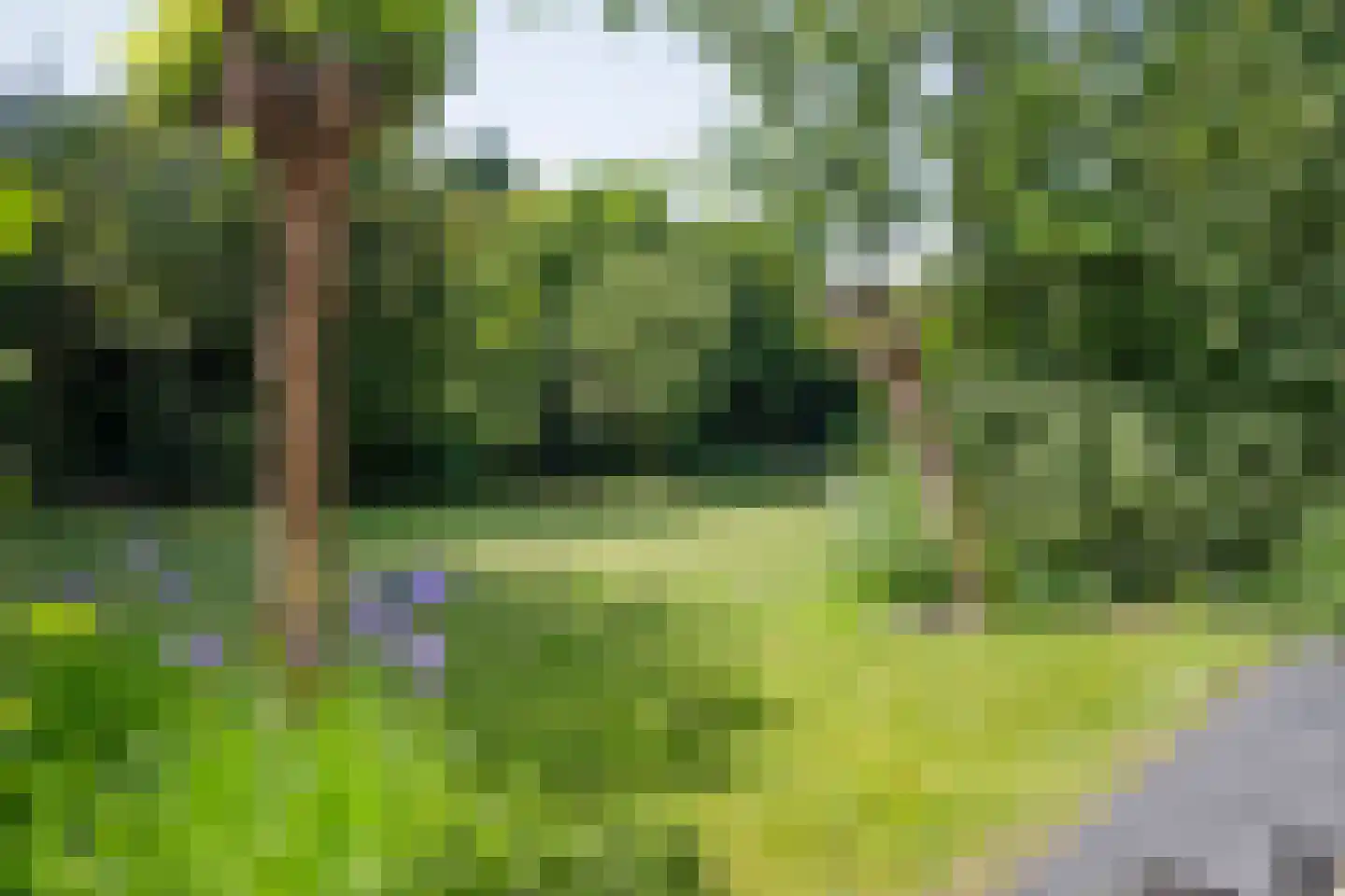 Woldweg 54 Kropswolde thumbnail 80