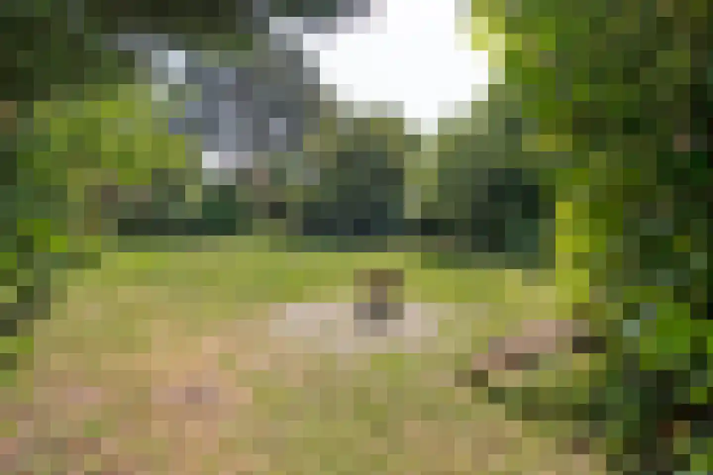 Woldweg 54 Kropswolde thumbnail 82