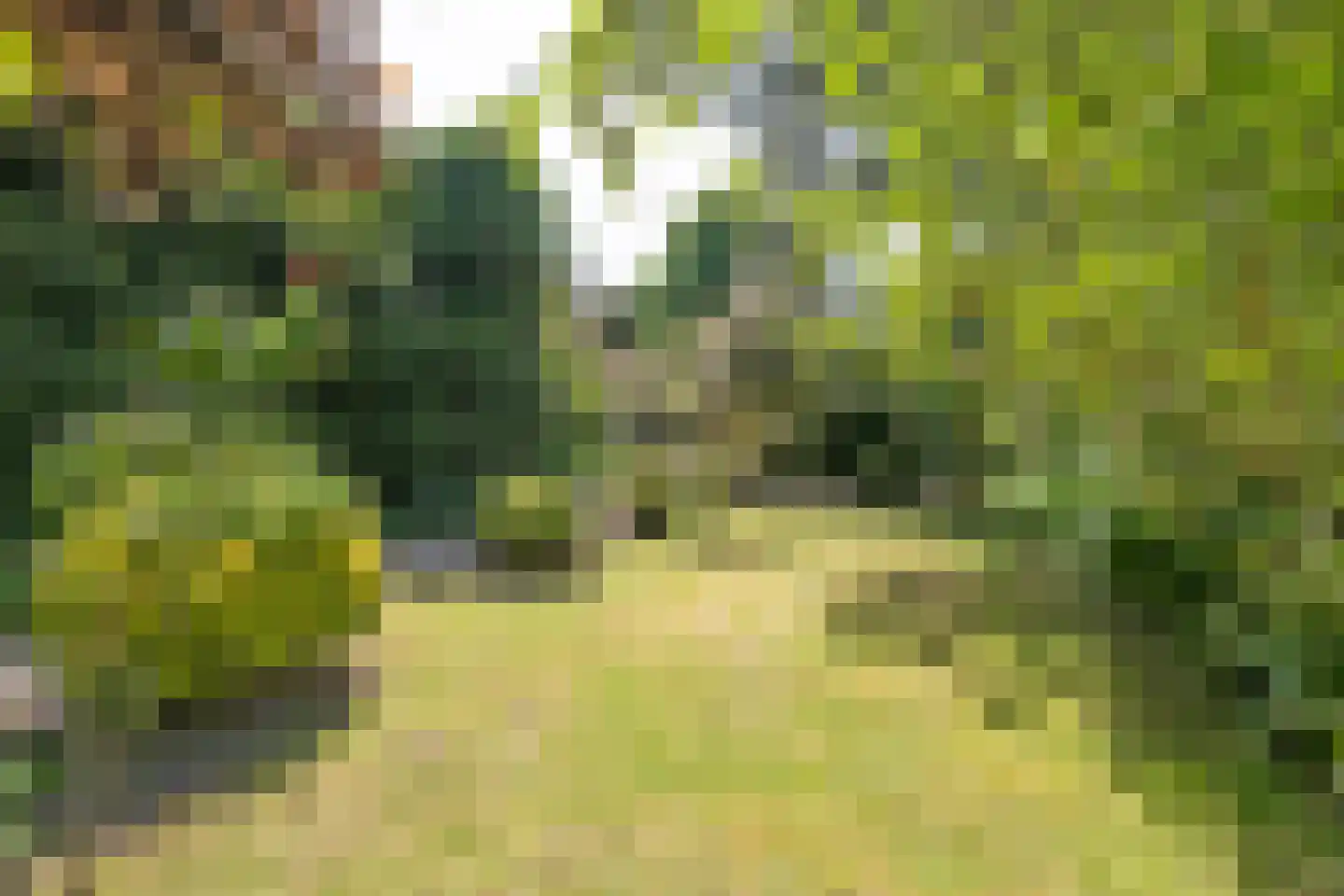 Woldweg 54 Kropswolde thumbnail 83