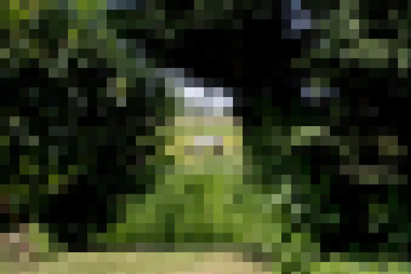 Woldweg 54 Kropswolde thumbnail 84