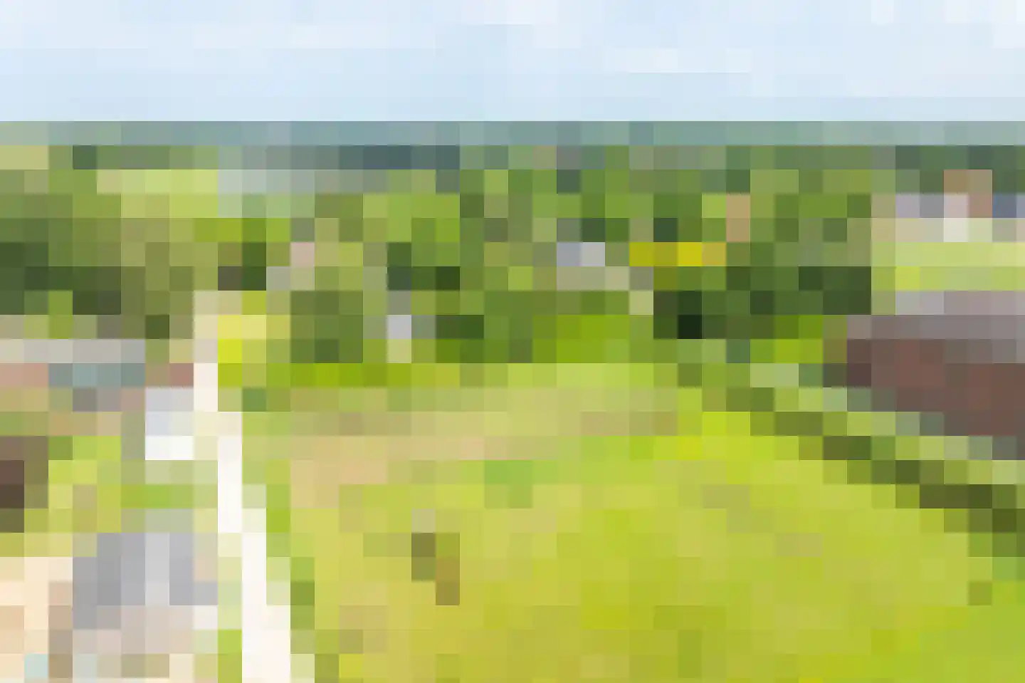 Woldweg 54 Kropswolde thumbnail 88