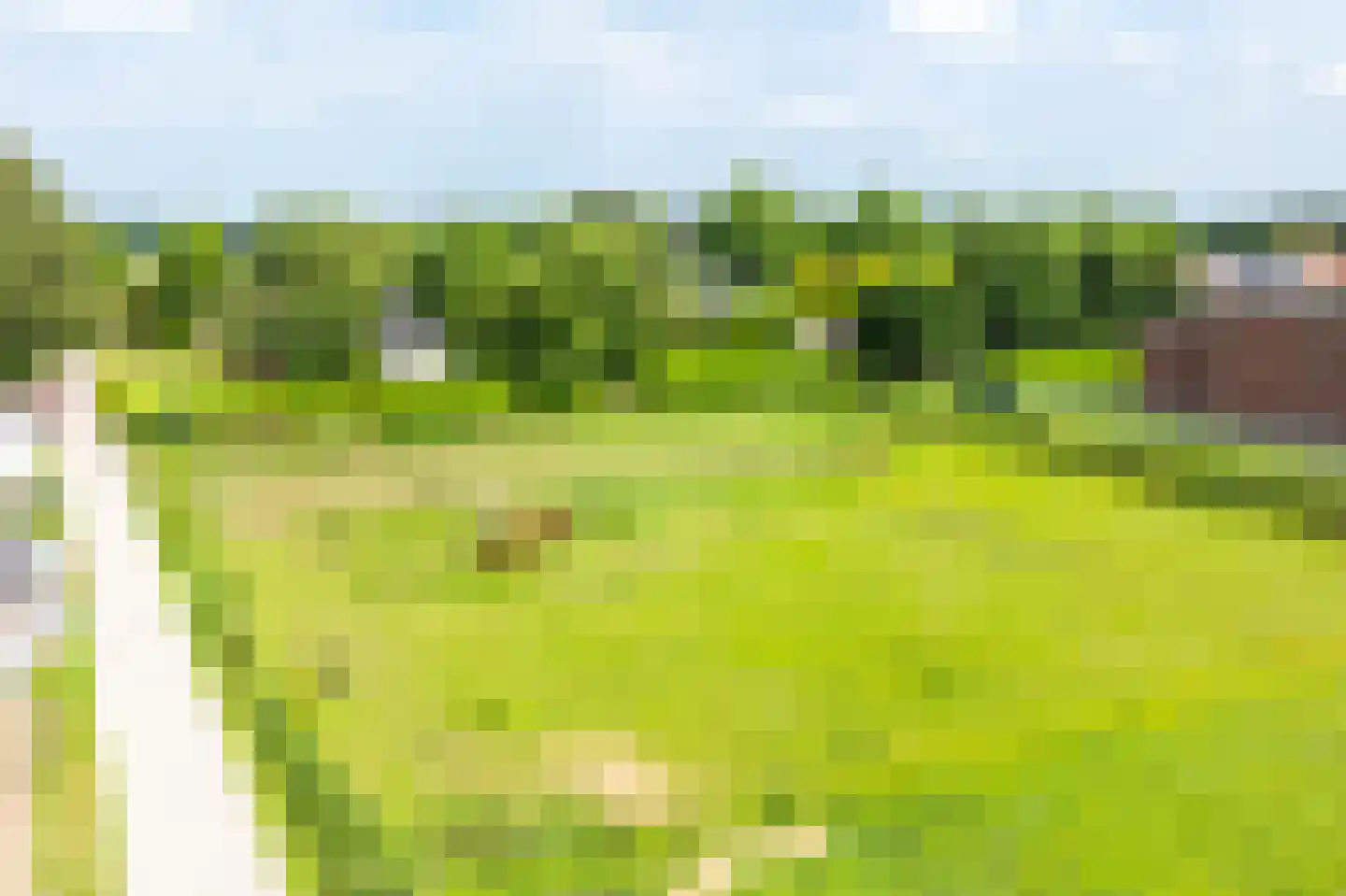 Woldweg 54 Kropswolde thumbnail 89