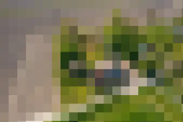 Woldweg 6 Zeerijp thumbnail 10