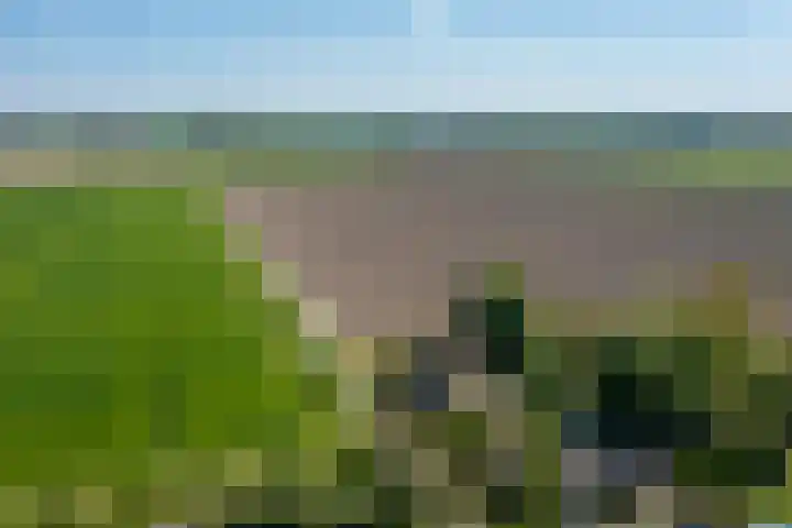 Woldweg 6 Zeerijp thumbnail 11