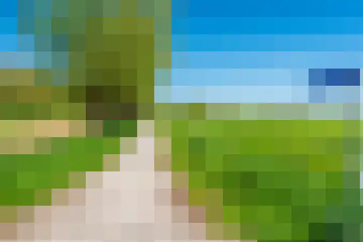 Woldweg 6 Zeerijp thumbnail 17