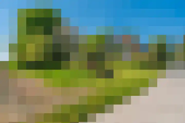 Woldweg 6 Zeerijp thumbnail 18