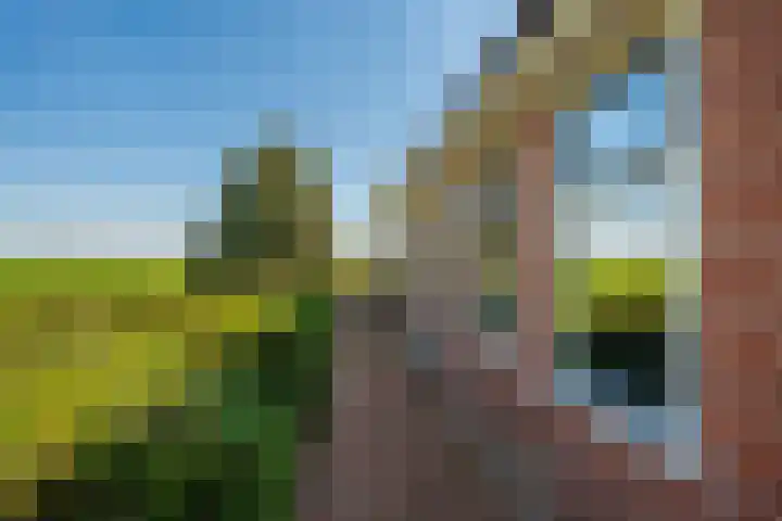 Woldweg 6 Zeerijp thumbnail 19