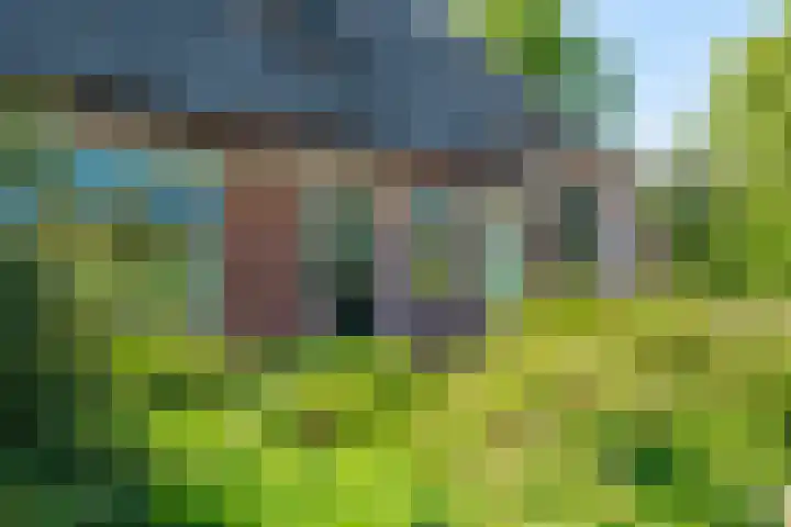 Woldweg 6 Zeerijp thumbnail 20