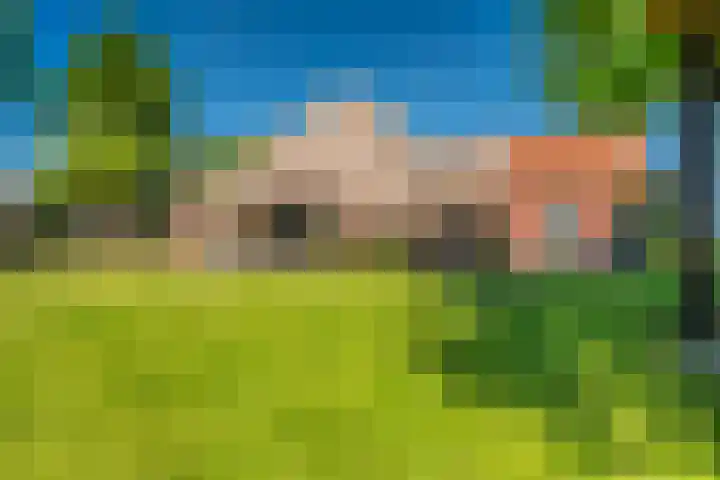 Woldweg 6 Zeerijp thumbnail 21