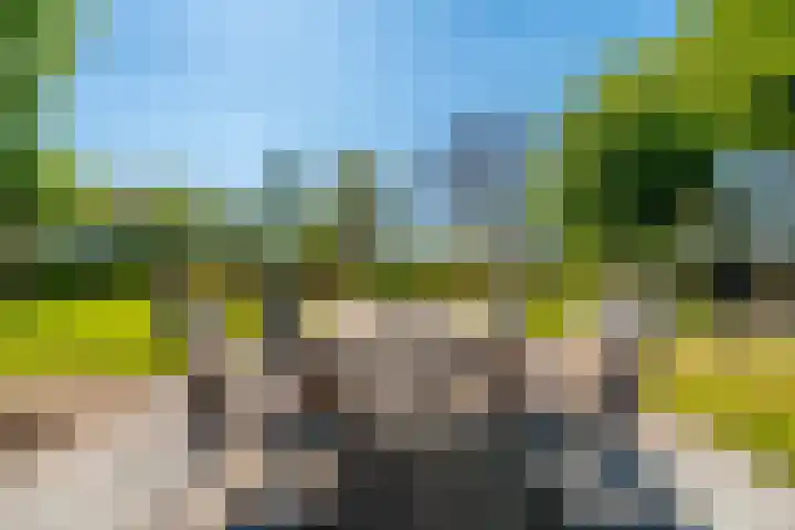 Woldweg 6 Zeerijp thumbnail 25