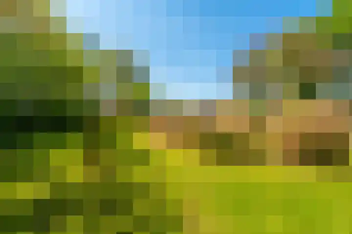 Woldweg 6 Zeerijp thumbnail 26