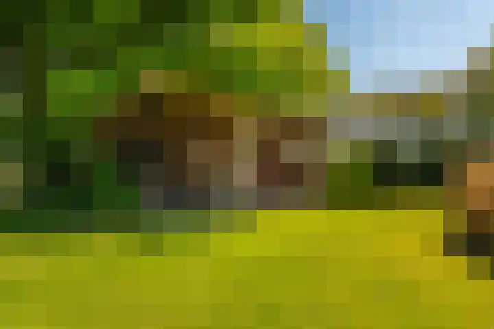 Woldweg 6 Zeerijp thumbnail 27