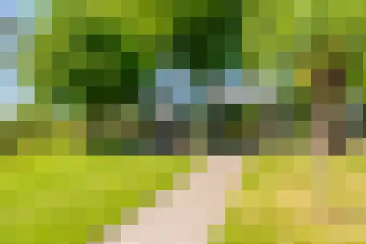 Woldweg 6 Zeerijp thumbnail 28
