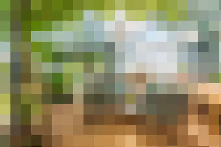 Woldweg 6 Zeerijp thumbnail 29