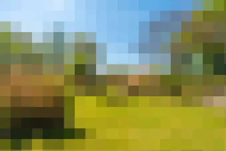 Woldweg 6 Zeerijp thumbnail 30