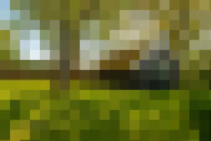 Woldweg 6 Zeerijp thumbnail 31