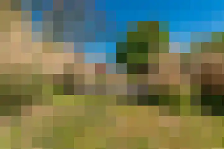 Woldweg 6 Zeerijp thumbnail 33