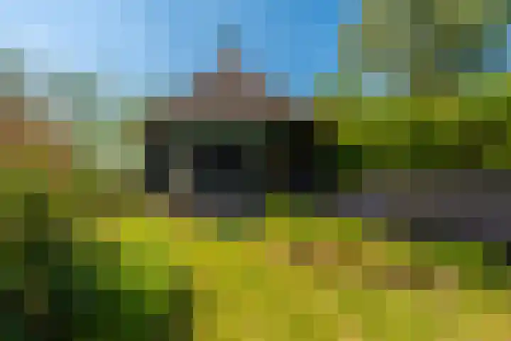 Woldweg 6 Zeerijp thumbnail 34