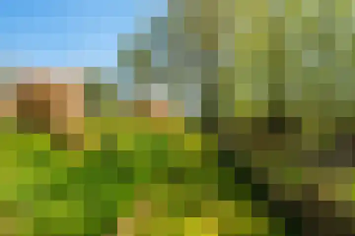 Woldweg 6 Zeerijp thumbnail 35