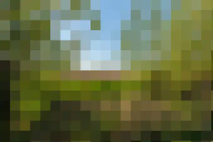 Woldweg 6 Zeerijp thumbnail 36