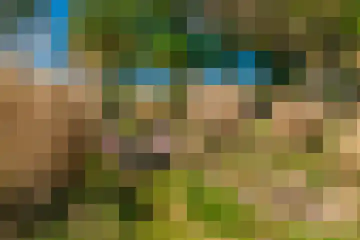 Woldweg 6 Zeerijp thumbnail 37