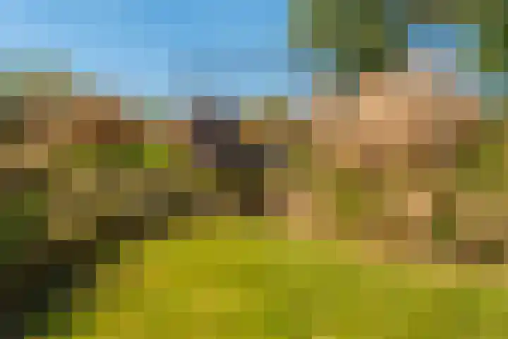 Woldweg 6 Zeerijp thumbnail 38