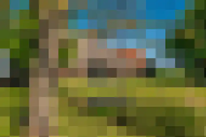 Woldweg 6 Zeerijp thumbnail 39