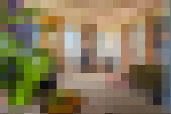 Woldweg 6 Zeerijp thumbnail 4