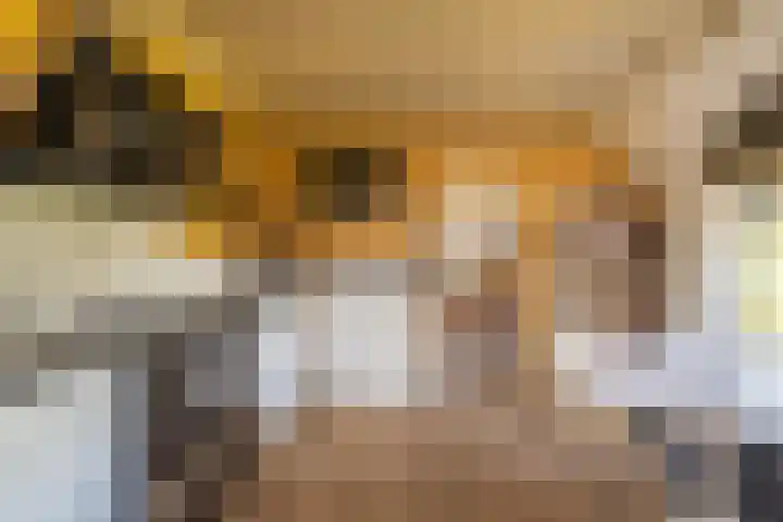 Woldweg 6 Zeerijp thumbnail 42