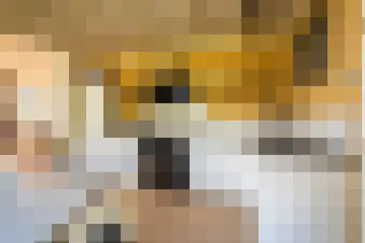 Woldweg 6 Zeerijp thumbnail 43