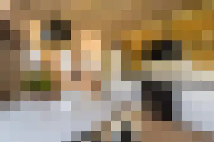 Woldweg 6 Zeerijp thumbnail 5