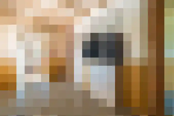 Woldweg 6 Zeerijp thumbnail 66