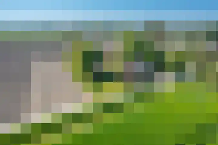 Woldweg 6 Zeerijp thumbnail 7