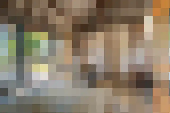 Woldweg 6 Zeerijp thumbnail 72