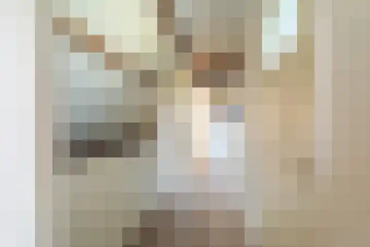 Woldweg 6 Zeerijp thumbnail 75