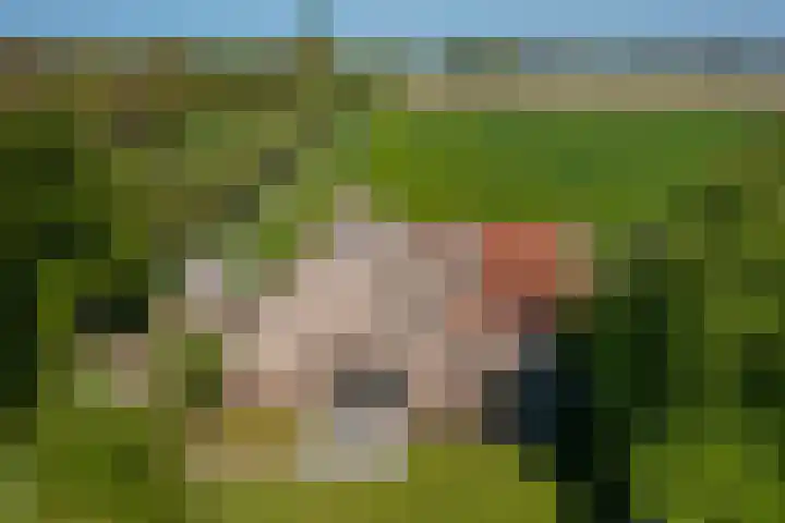 Woldweg 6 Zeerijp thumbnail 8