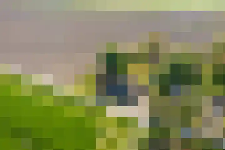 Woldweg 6 Zeerijp thumbnail 9