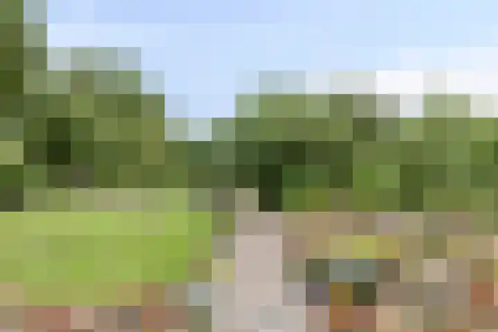Woldweg 72 Kropswolde thumbnail 35