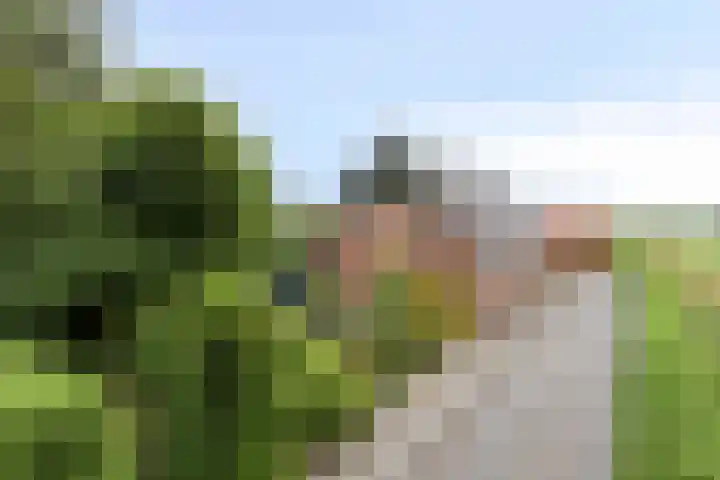 Woldweg 72 Kropswolde thumbnail 43