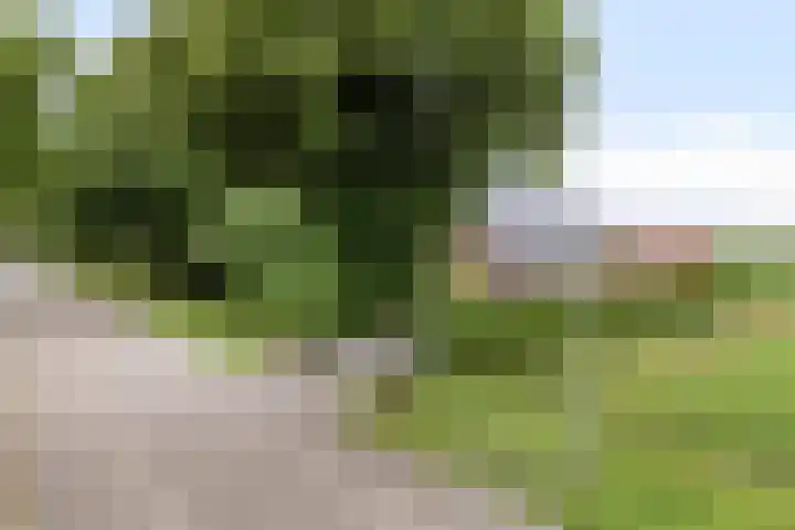 Woldweg 72 Kropswolde thumbnail 45