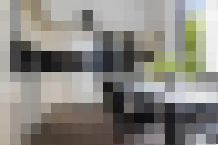 Woldweg 76 Kropswolde thumbnail 10