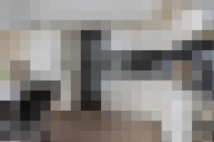 Woldweg 76 Kropswolde thumbnail 11