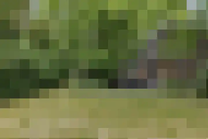 Woldweg 76 Kropswolde thumbnail 33