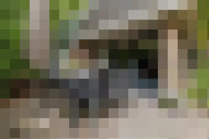 Woldweg 76 Kropswolde thumbnail 34