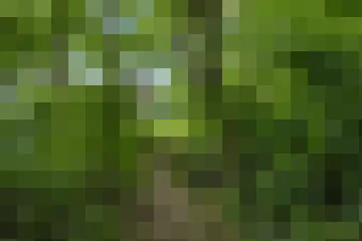 Woldweg 76 Kropswolde thumbnail 36