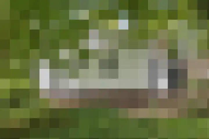 Woldweg 76 Kropswolde thumbnail 38