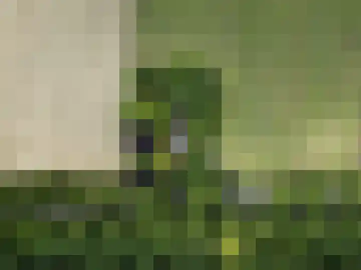 Woldweg 76 Kropswolde thumbnail 40