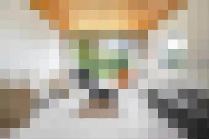 Woldzoom 37 Roden thumbnail 12