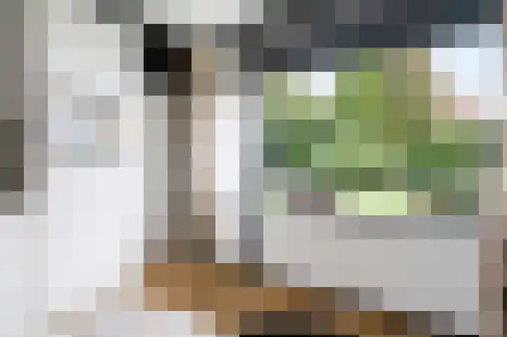 Woldzoom 37 Roden thumbnail 18