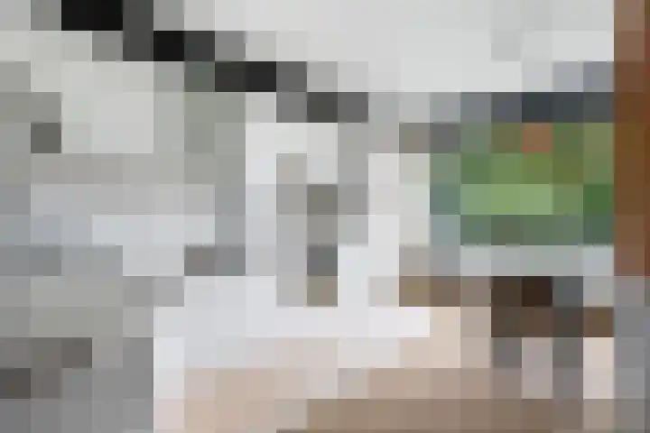Woldzoom 37 Roden thumbnail 19